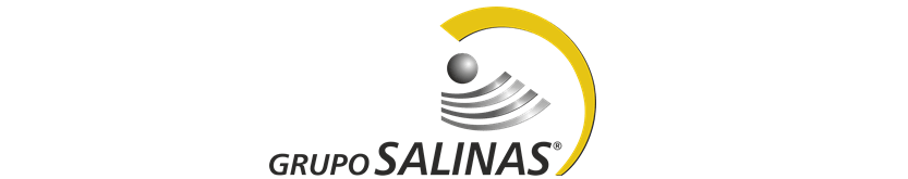 Logo-Grupo-Salinas-Mexico.png